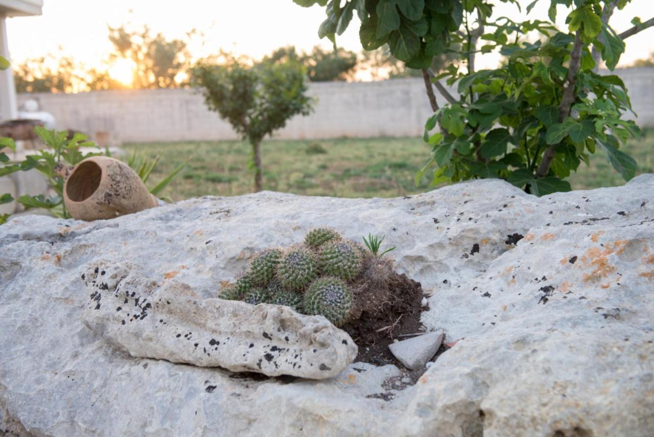 Villa Dei Bruno San Donato di Lecce Exterior foto